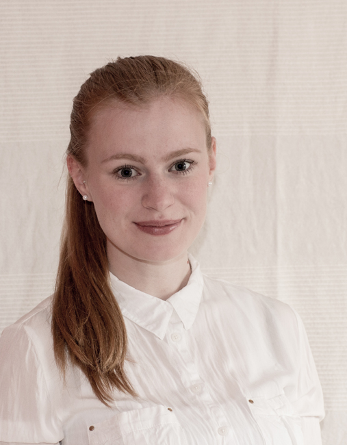 Salons professionnels : 
IAA (pour Peugeot en tant qu